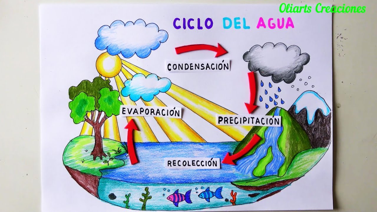 Como dibujar el CICLO del AGUA paso a paso/ Drawing the WATER CYCLE