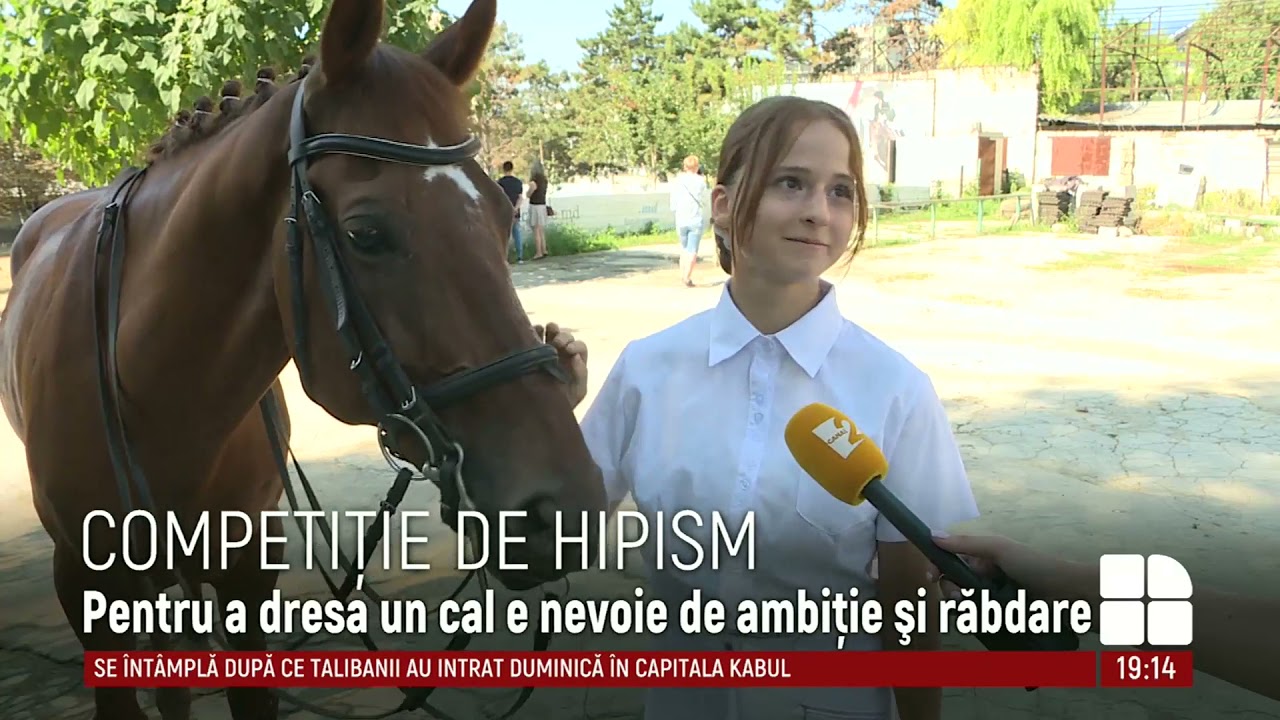Competiție de hipism: evenimentul a întrunit mai bine de 60 de participanți