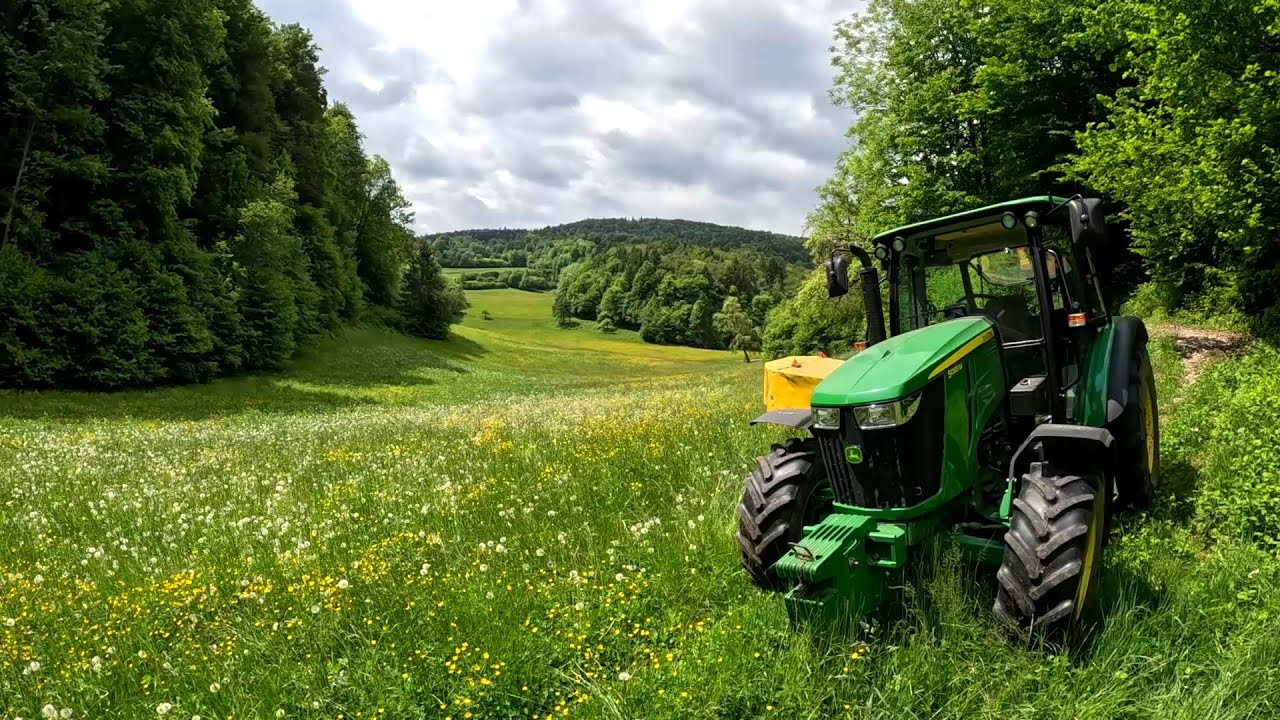 More 1st Cut Grass Silage
