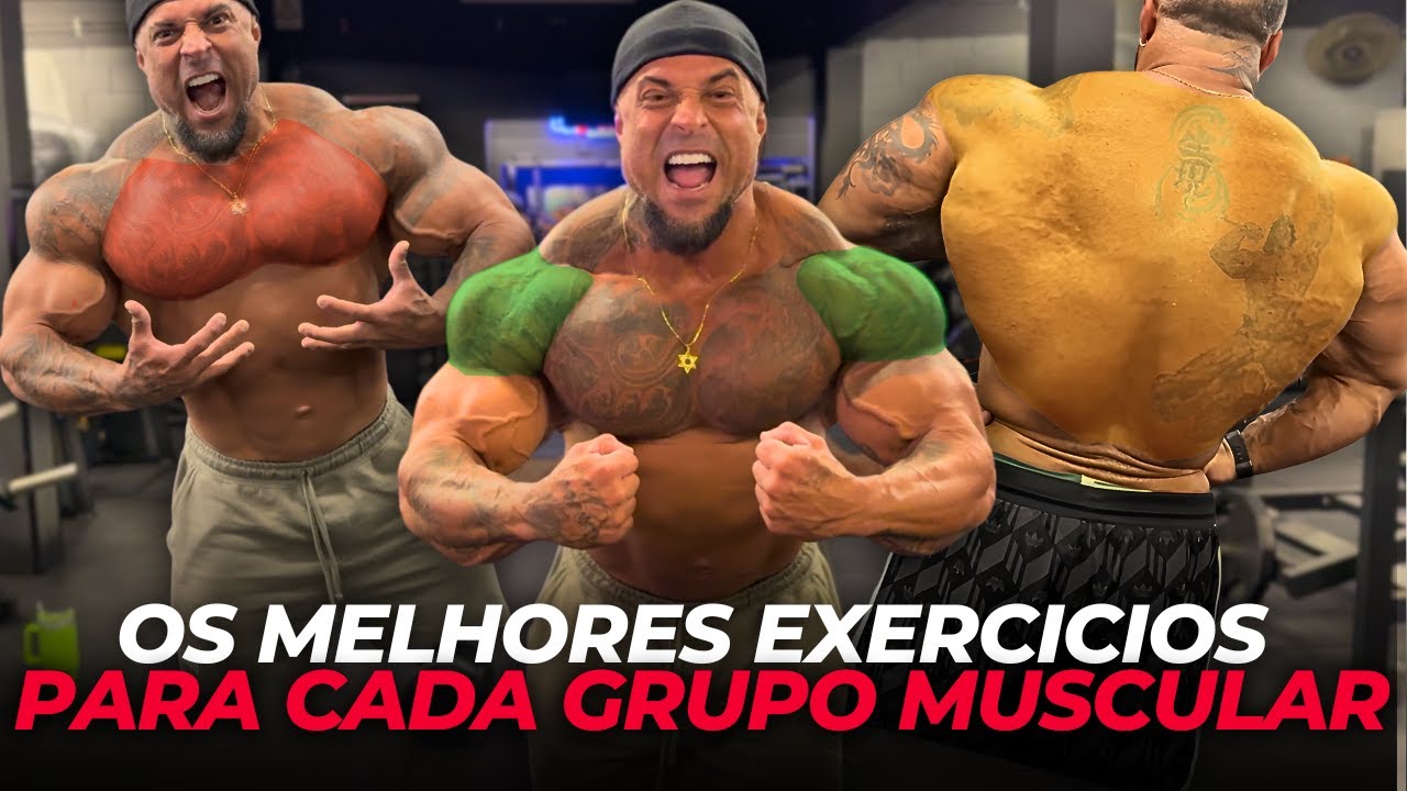 Os ÚNICOS EXERCICIOS que você PRECISA para cada GRUPO MUSCULAR!