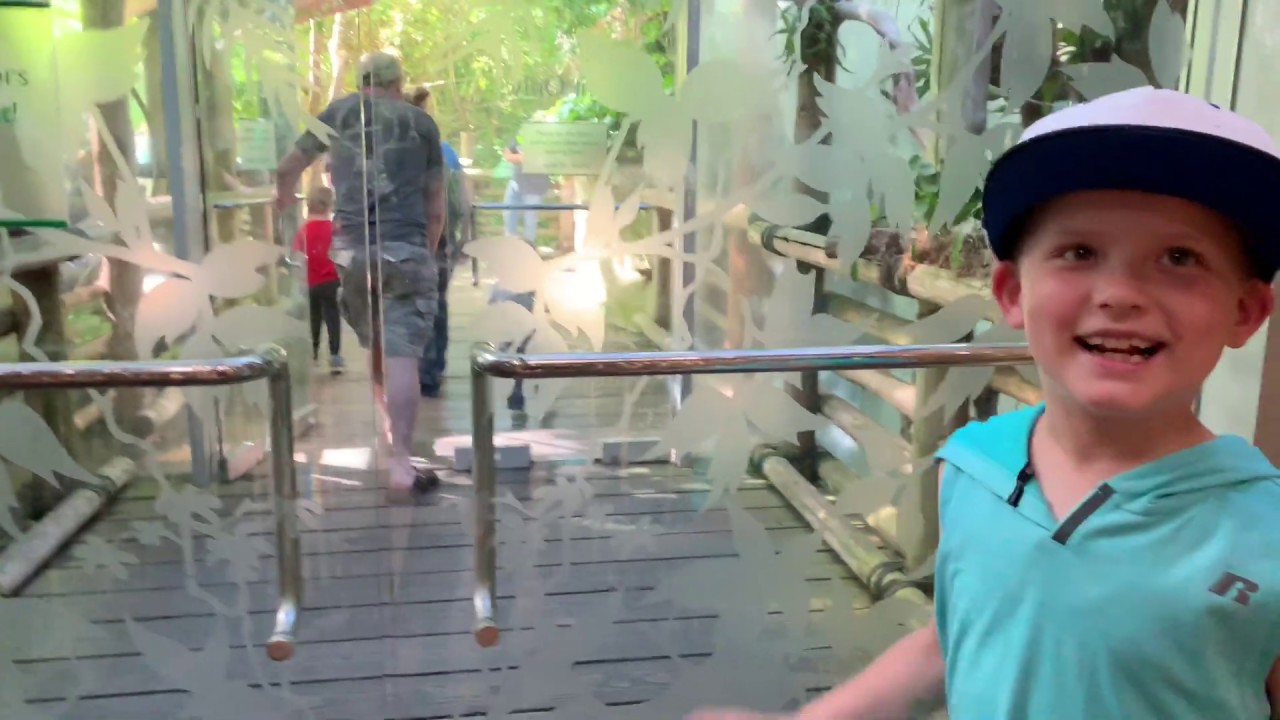 Woodland Zoo - Seattle