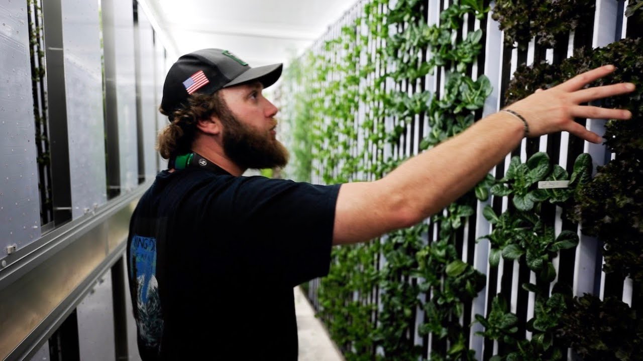 Growing a Hydroponic Farm in a Shipping Container