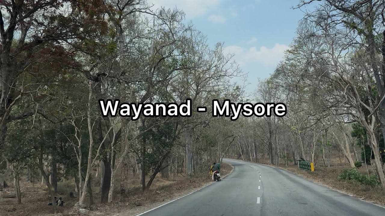 Wayanad to Mysore jungle road trip | 4K