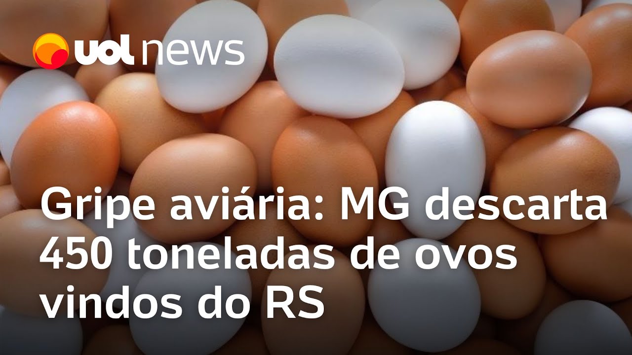 Minas Gerais descarta 450 toneladas de ovos vindos do RS após caso de gripe aviária
