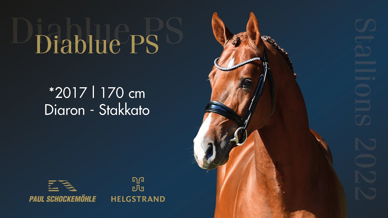 Diablue PS - Springkollektion 2022 Schockemöhle & Helgstrand (DEU)