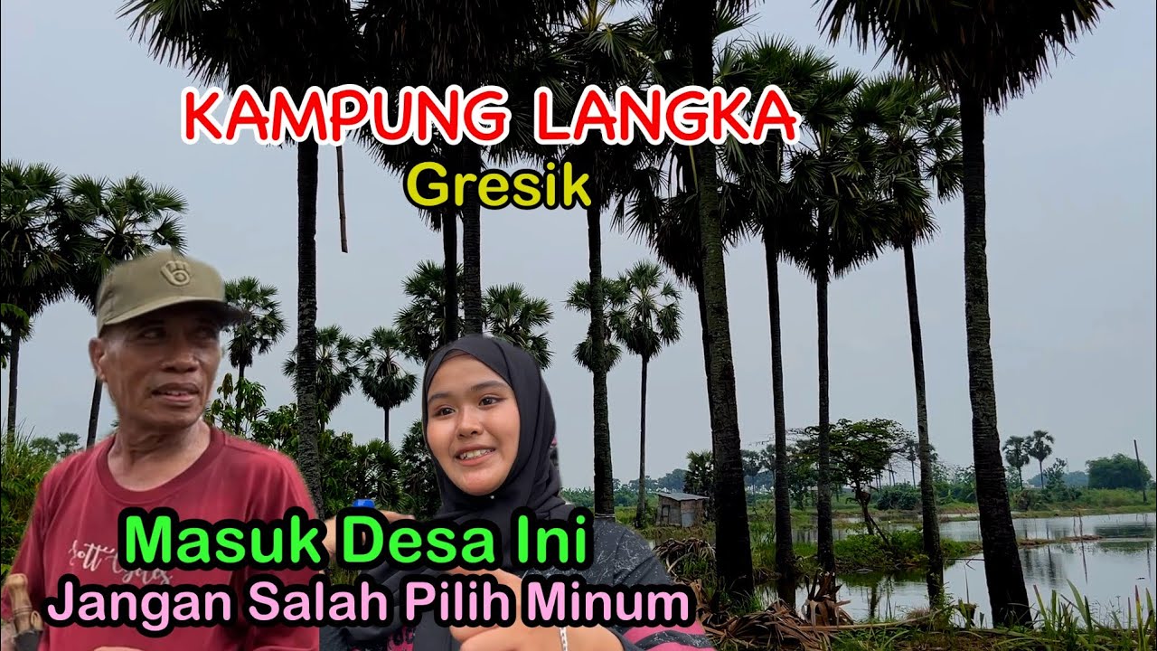 Kampung Langka Satu Satunya Di Gresik Dengan Tradisi Kuno Dan Ribuan Pohon Berusia Ratusan Tahun