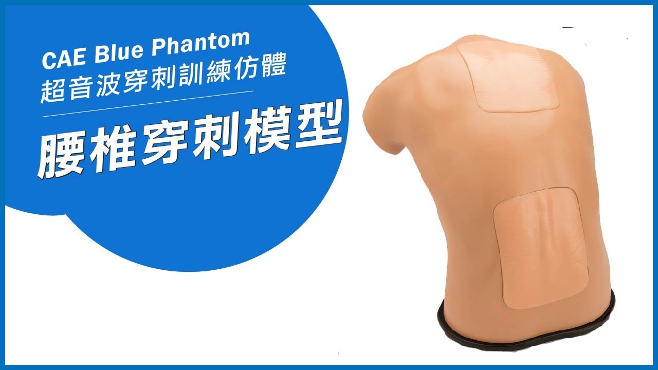 CAE Blue Phantom 腰椎穿刺及硬脊膜外腔麻醉穿刺模型 Spinal Epidural and Lumbar Puncture Training Model