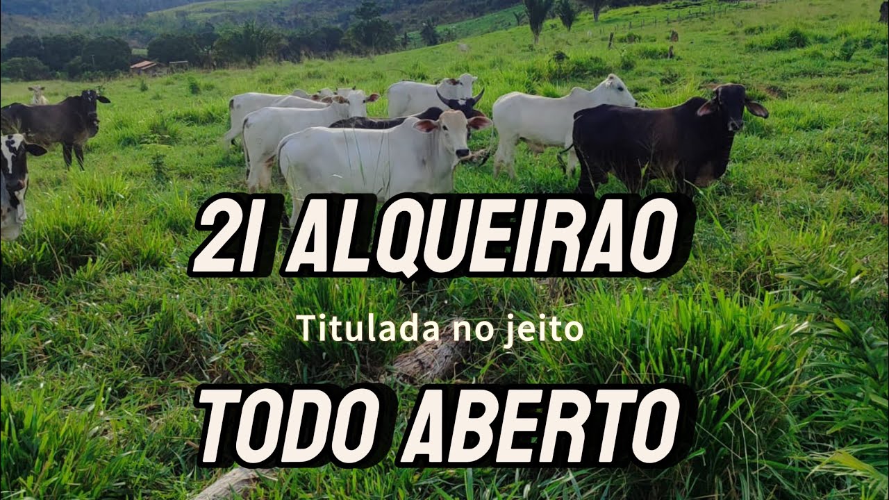 21 alqueires mais barato da região de Ruropolis pá 😱 confiram o vídeo ❓❓