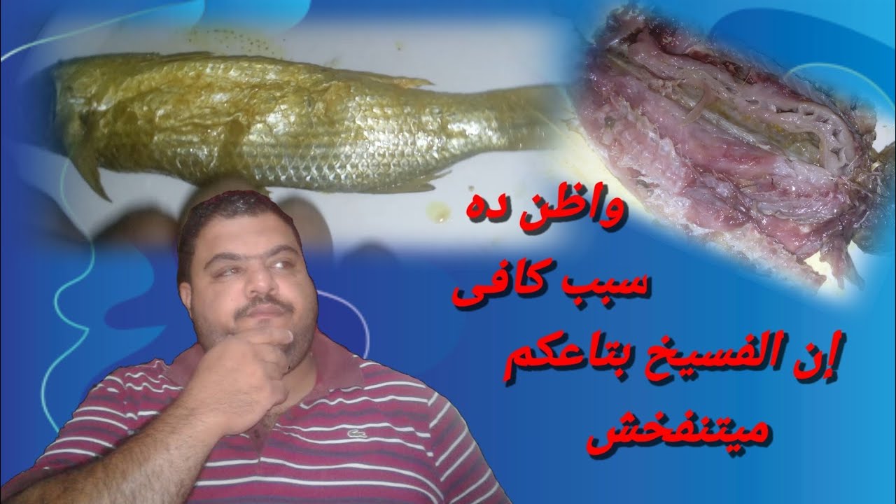 تعالوا اقولكم ليه الفسيخ بتاعكم مش بيبقى منفوخ زى الفسيخ بتاعى
