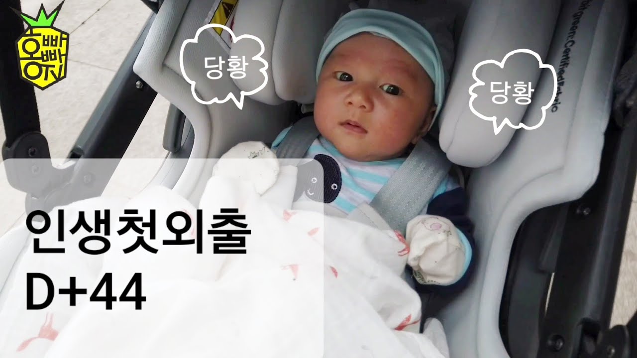 홍빠빠의 일상 - 차키 첫외출 D+44
