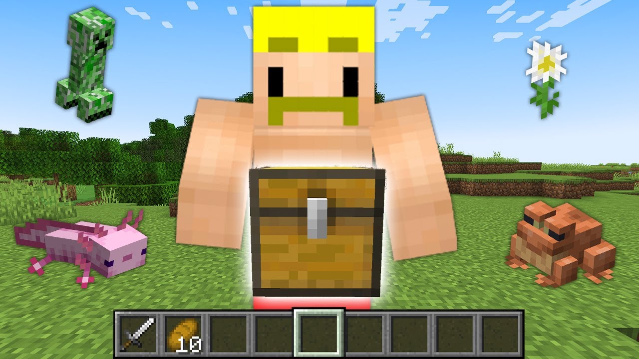 【マイクラ】片づけまくれ！整理整頓王！