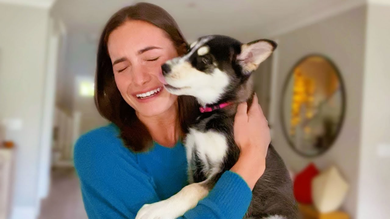 Puppy meets her new Mom!