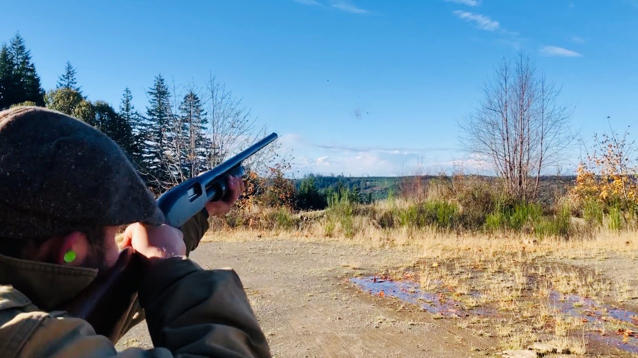 Remington Model 29 and Model 31 testing
