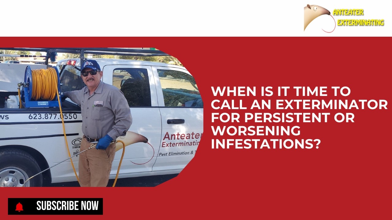 When is It Time to Call an Exterminator for Persistent or Worsening Infestations?