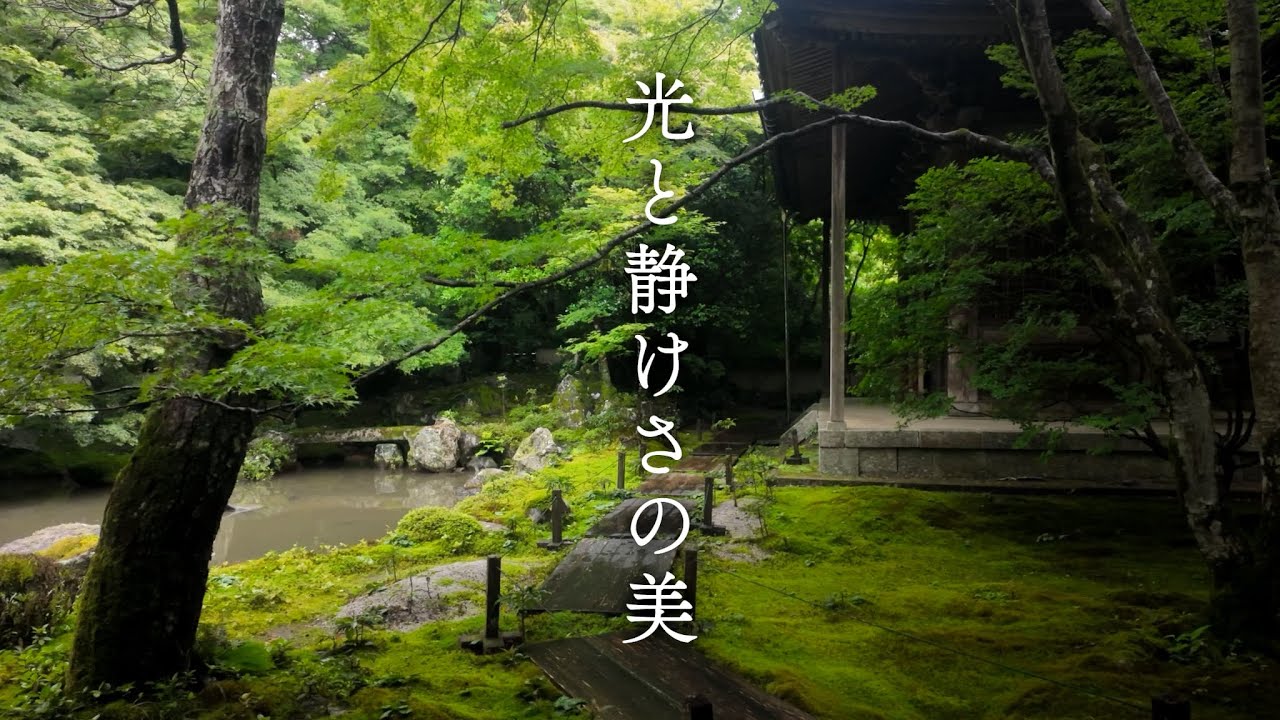 【京都の庭園15選】光と静けさの美 | The Beauty of Light and Stillness