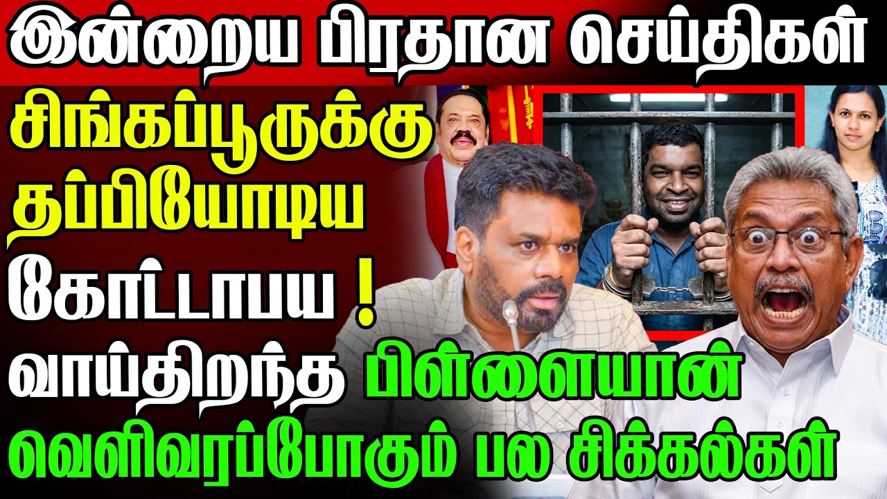 🚨நாட்டை விட்டு தப்பியோடிய ! கோட்டாபய ராஜபக்ச 😲உண்மைகளை உளறிய பிள்ளையான் | Sri Lanka Today News