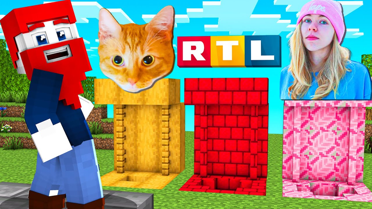 WÄHLE NICHT das FALSCHE BILD - Minecraft