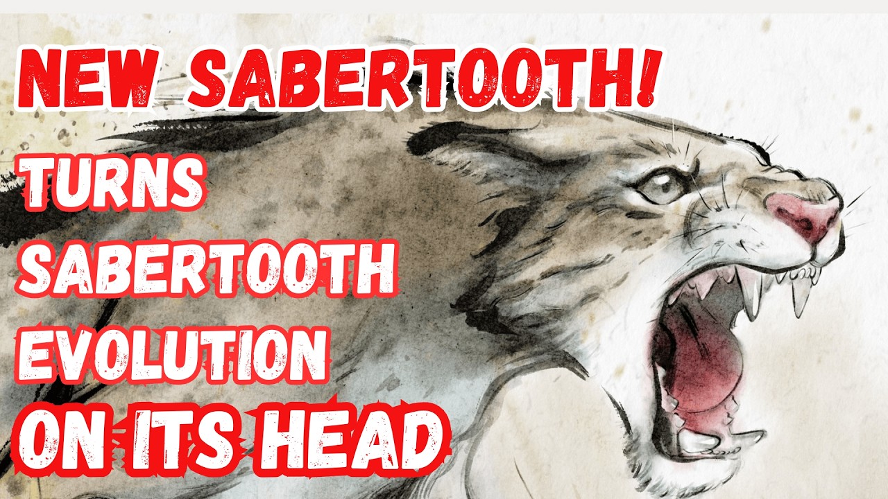 New sabertooth flips the sabertooth script