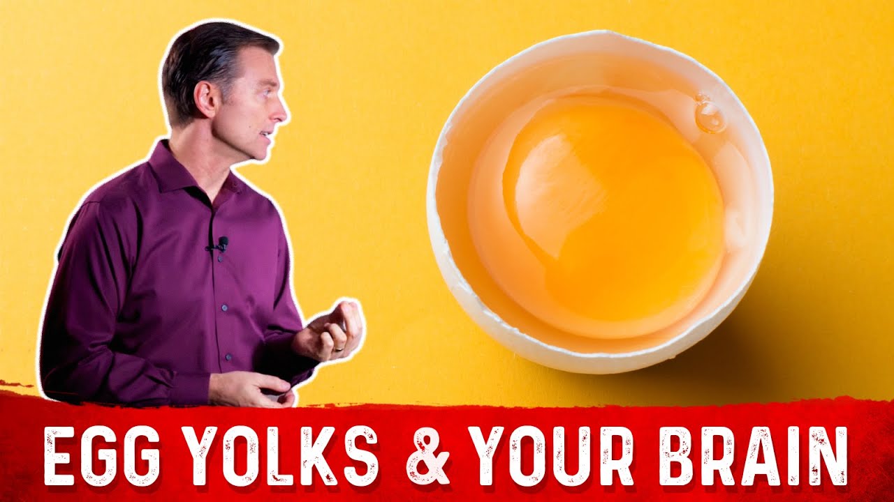 The Benefit Of Egg Yolks On Your Brain Health &ndash; Dr. Berg on Egg Nutrition