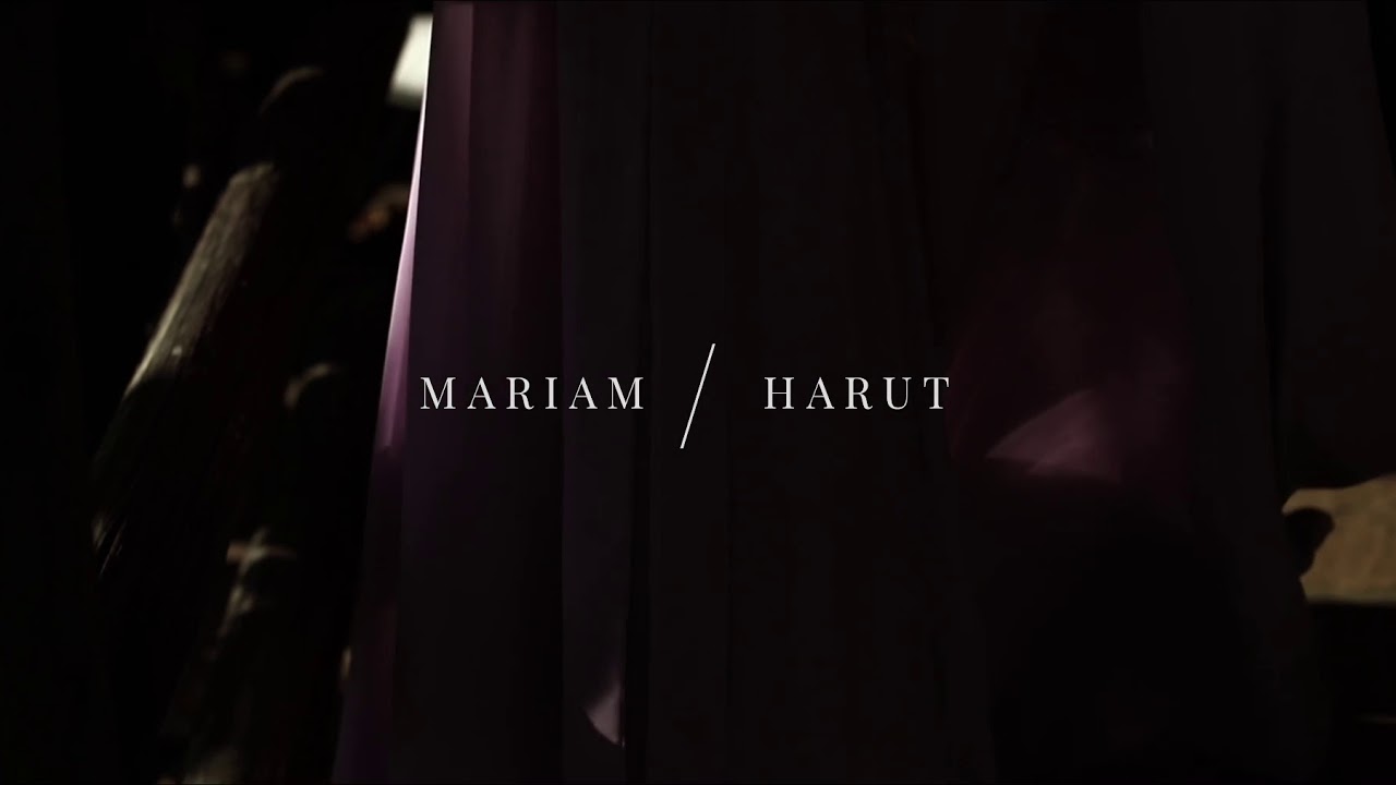 Mariam & Harut: Malibu Proposal