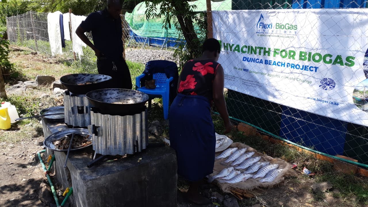 Water Hyacinth to Biogas in Kenya | Turning Invasive Plants into Clean Cooking Fuel