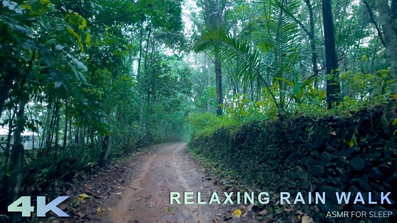Quiet Rainy Walk in a Beautiful Village | Natural Rain Sounds for Relaxation | 4K ASMR for Focus