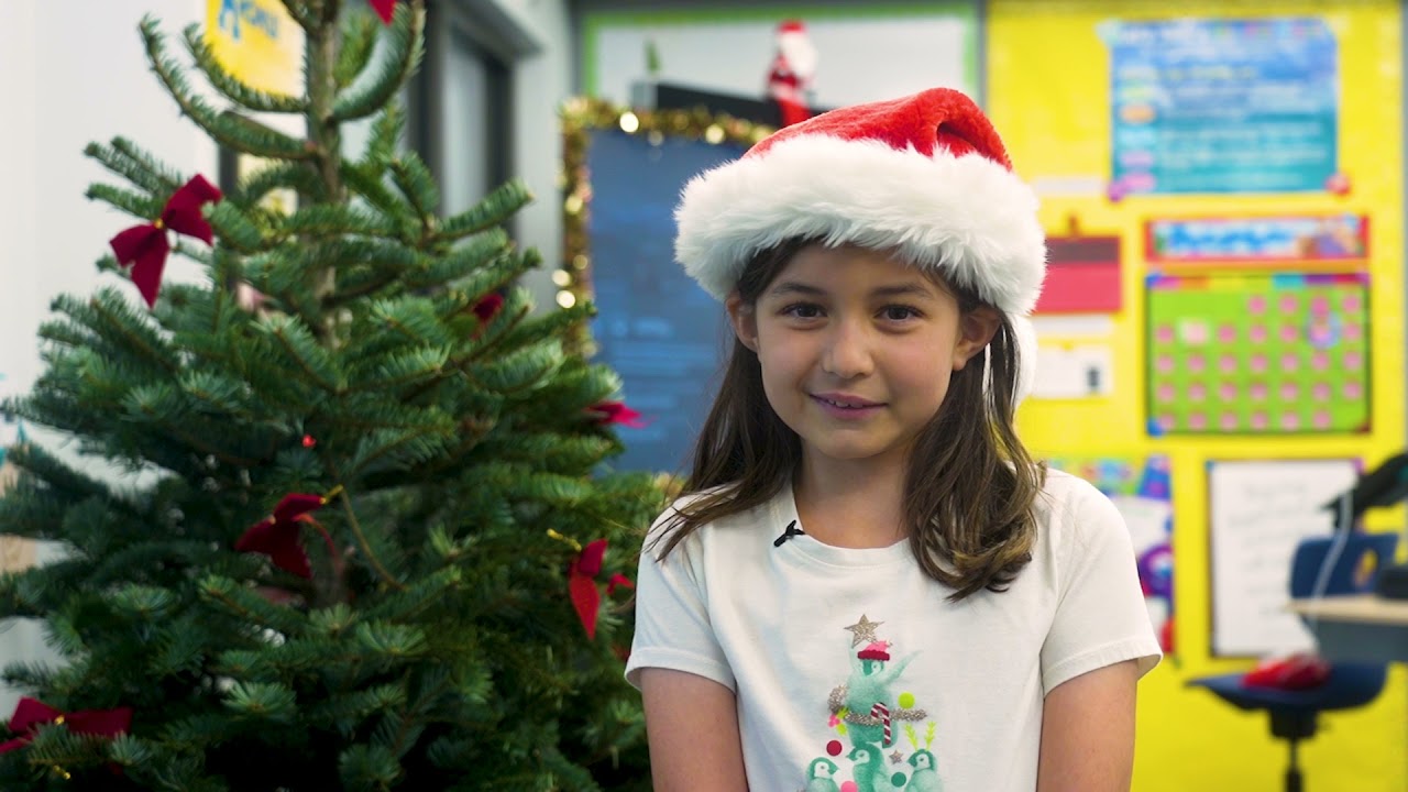 12 Days of Punahou