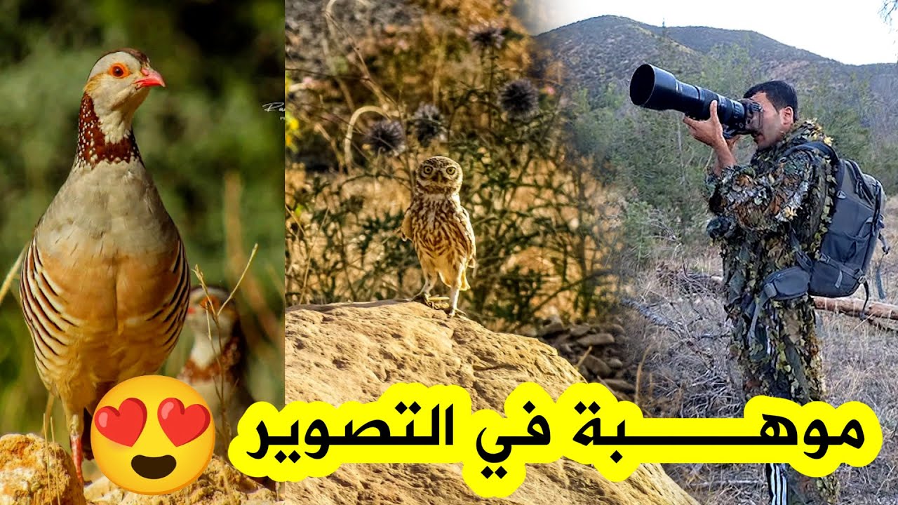 شاهدوا قصة الشاب رمزي الذي أحب الحياة البرية🌿وألهم بتصويرالحيوانات والعصافير في جبال الأوراس😍