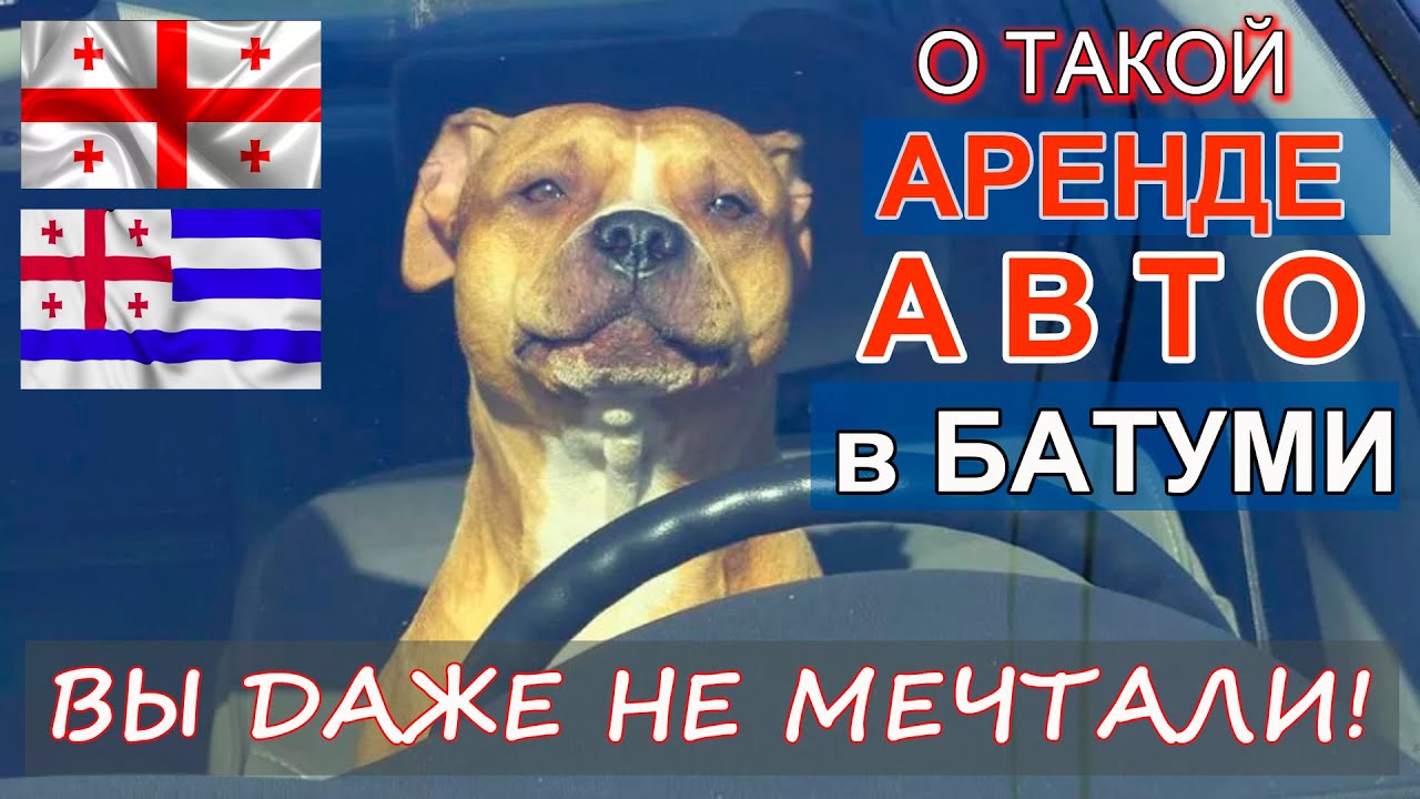 Такая аренда автомобиля в Батуми только у НАС! Много советов, которые вас приятно удивят!