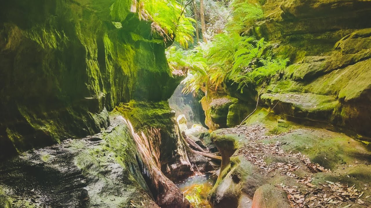 Into another world