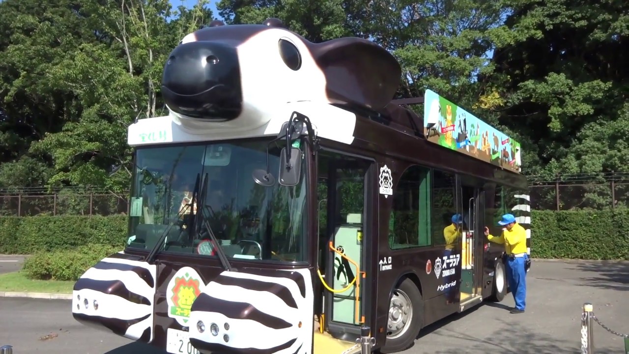 【横浜ズーラシア Zoorasia】まばたきするオカピバス！北門サバンナエリア。blinking Okapi bus north gate ZOO, JAPAN