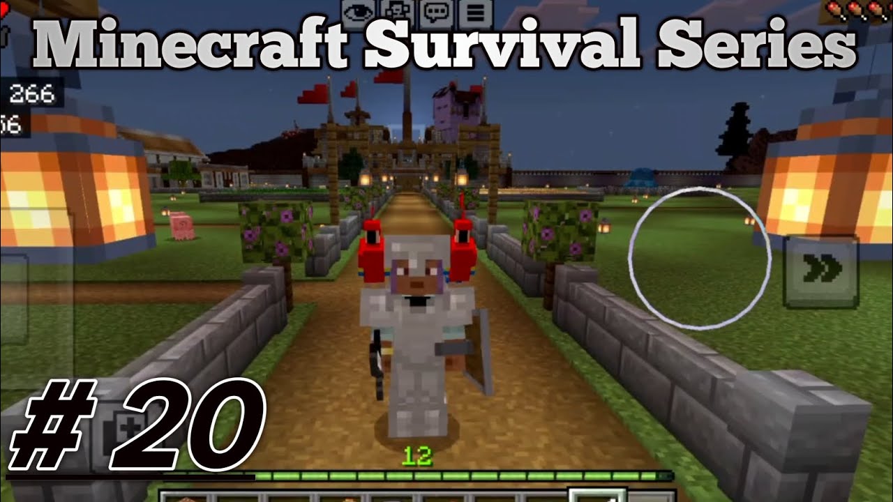 Minecraft Survival series # 20
