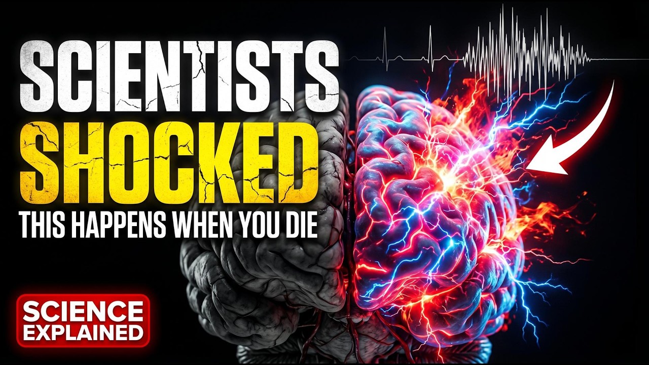 Scientists Shocked to Find This Happens When You Die