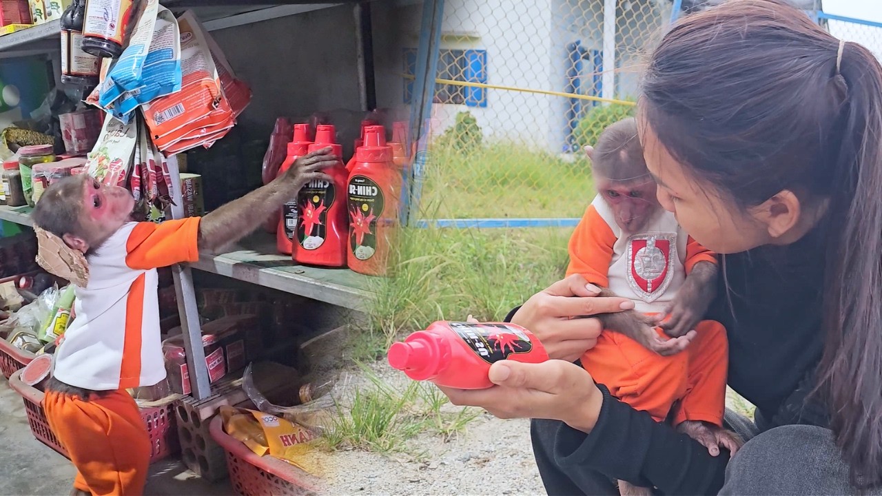 Super Helpful! SU Clever Plan to Get Chili Sauce for Mom Cooking!