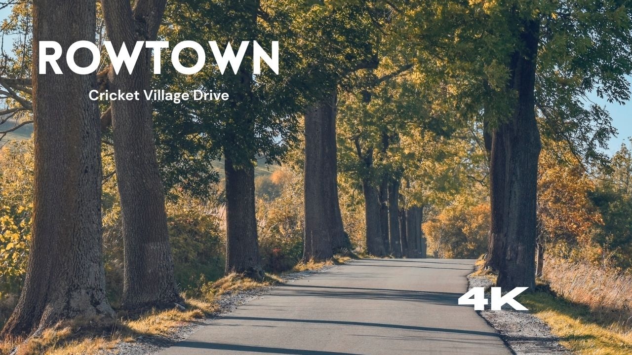 Rowtown Village Drive | Cricket Ground & Countryside Surrey 4K