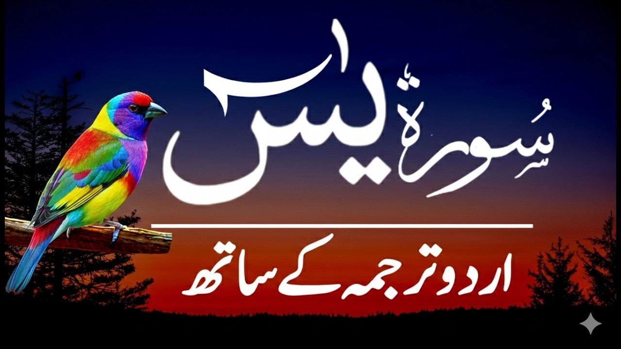 Surah Yasin | Surah Yaseen With Urdu Trnslation Full | Ep-002