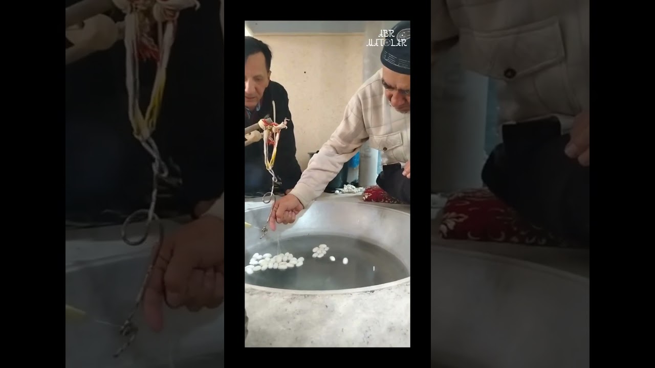 Получение шелковой нити из кокона кустарным способом!