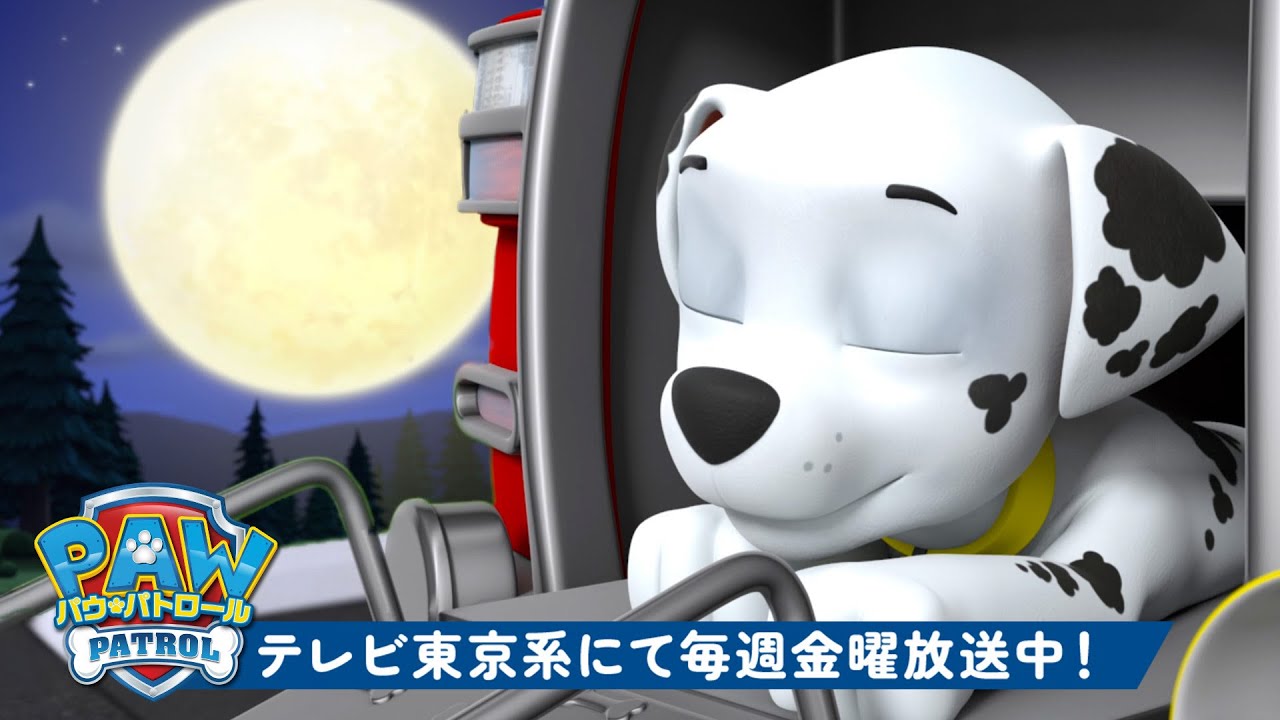 パウ・パトロール | パウ・パトロール レスキュー：健康的なおやすみ習慣 90分😴 | テレビ東京系にて放送中