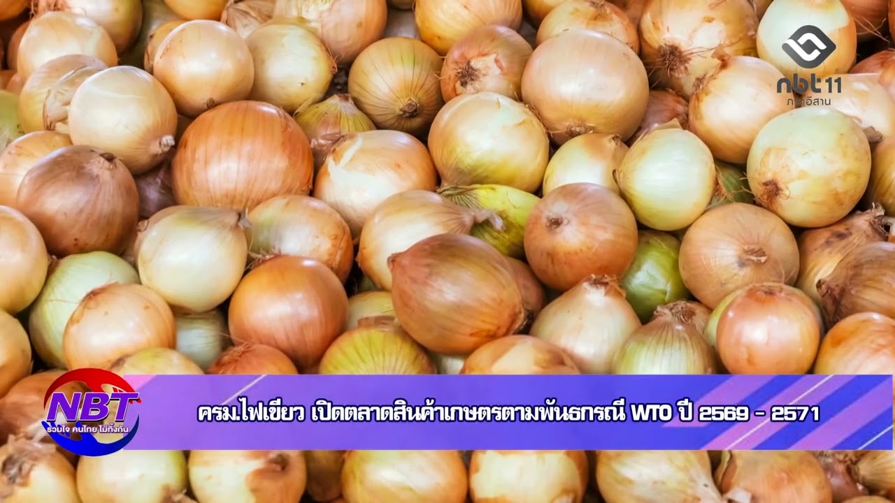 ครม.ไฟเขียว เปิดตลาดสินค้าเกษตรตามพันธกรณี WTO ปี 69-71