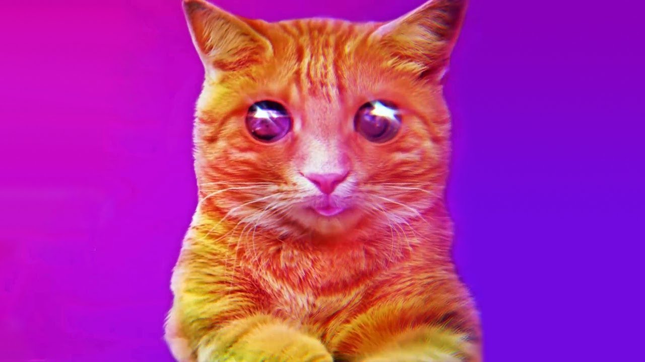 КОТОПИЛЕПСИЯ! ► Puss