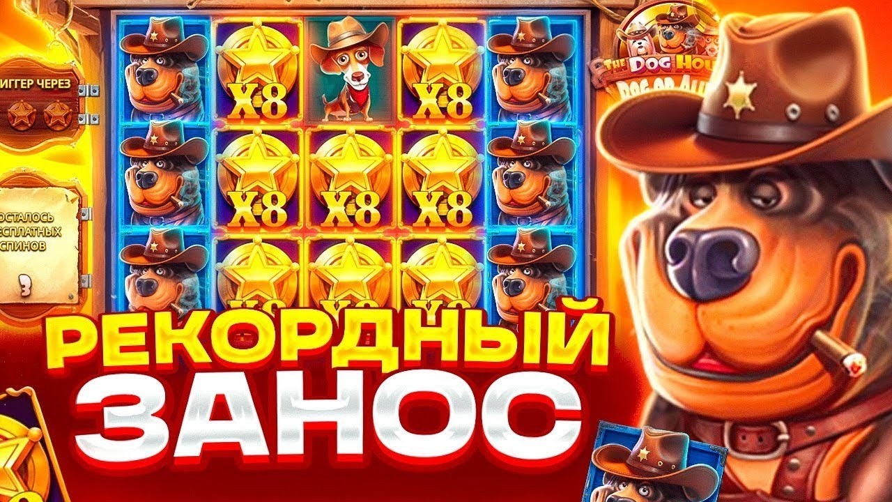 РЕКОРД С НУЛЯ! С 1000Р СДЕЛАЛИ 300К В BIG DOG HOUSE / ЗАНОС НЕДЕЛИ И ЗАНОС МЕСЯЦА В ДОГ ХАУС