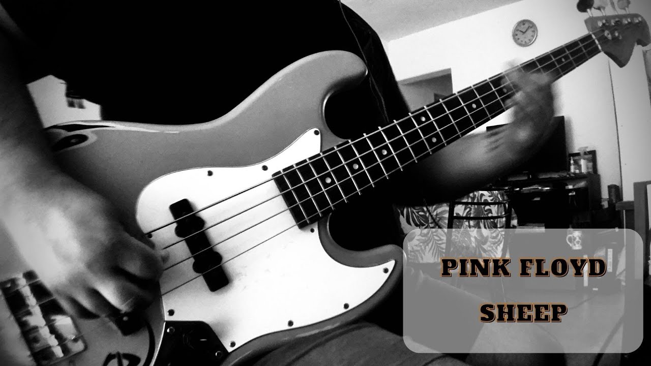 Pink Floyd - Sheep (bass cover)