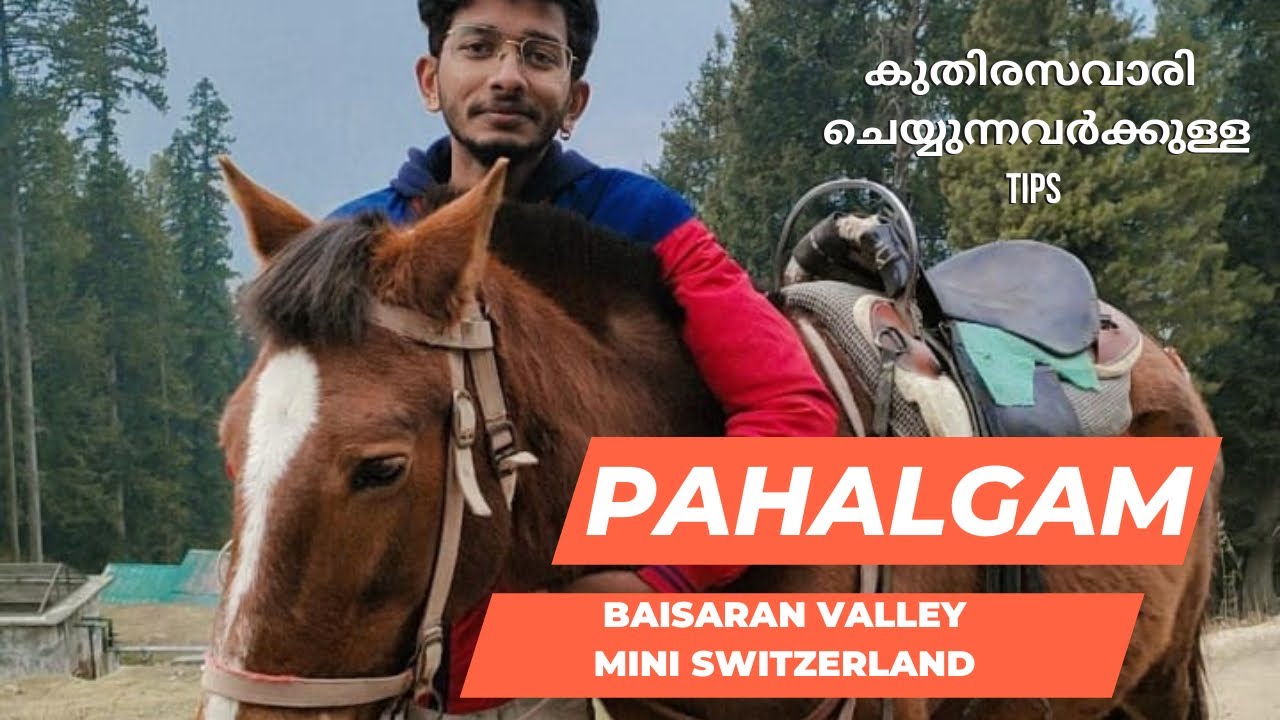 മിനി സ്വിറ്റ്സർലൻഡ് എന്ന് വിളിപ്പേരുള്ള ബൈസരൺ താഴ്വര Baisaran Valley in Pahalgam Kashmir #baisaran
