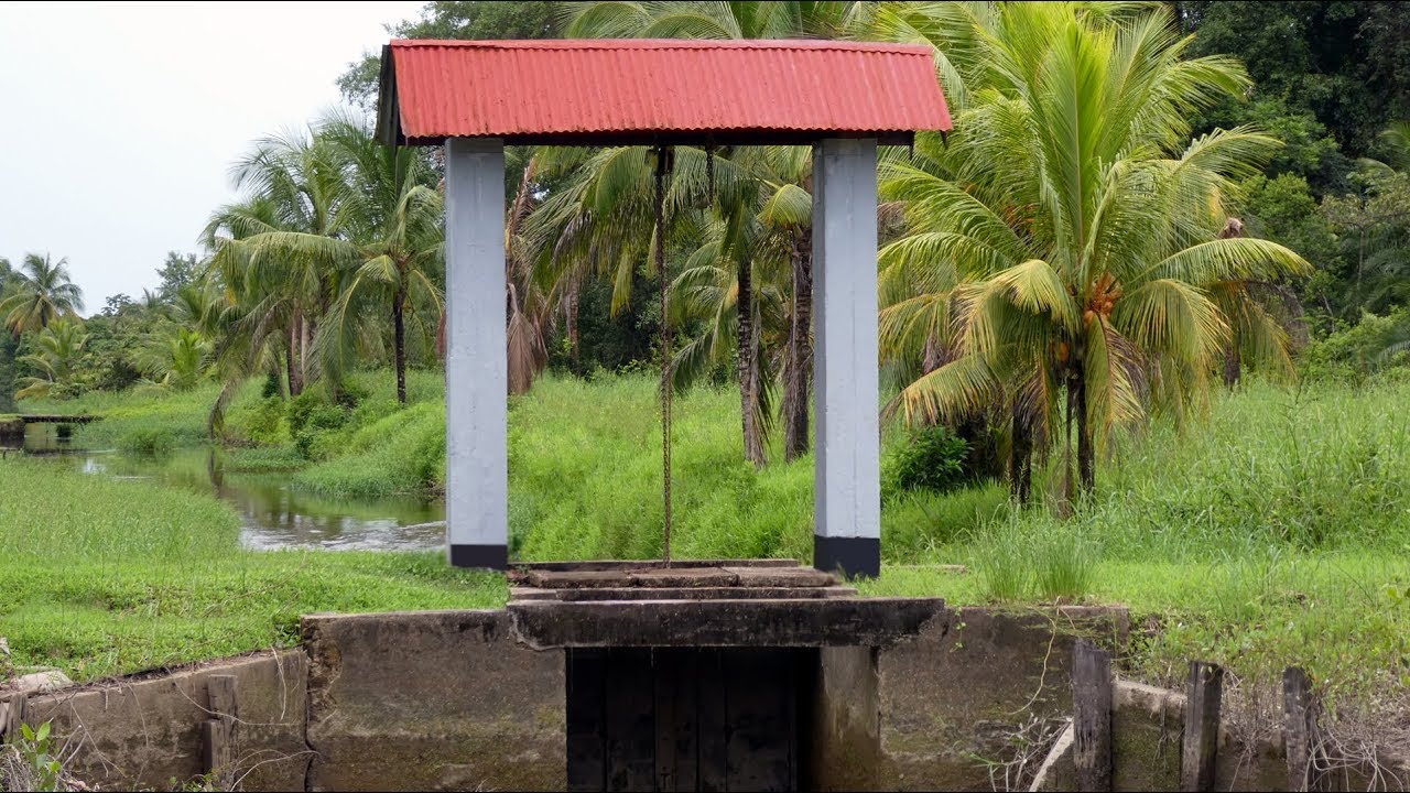 Commewijne Tour - Access Suriname Travel
