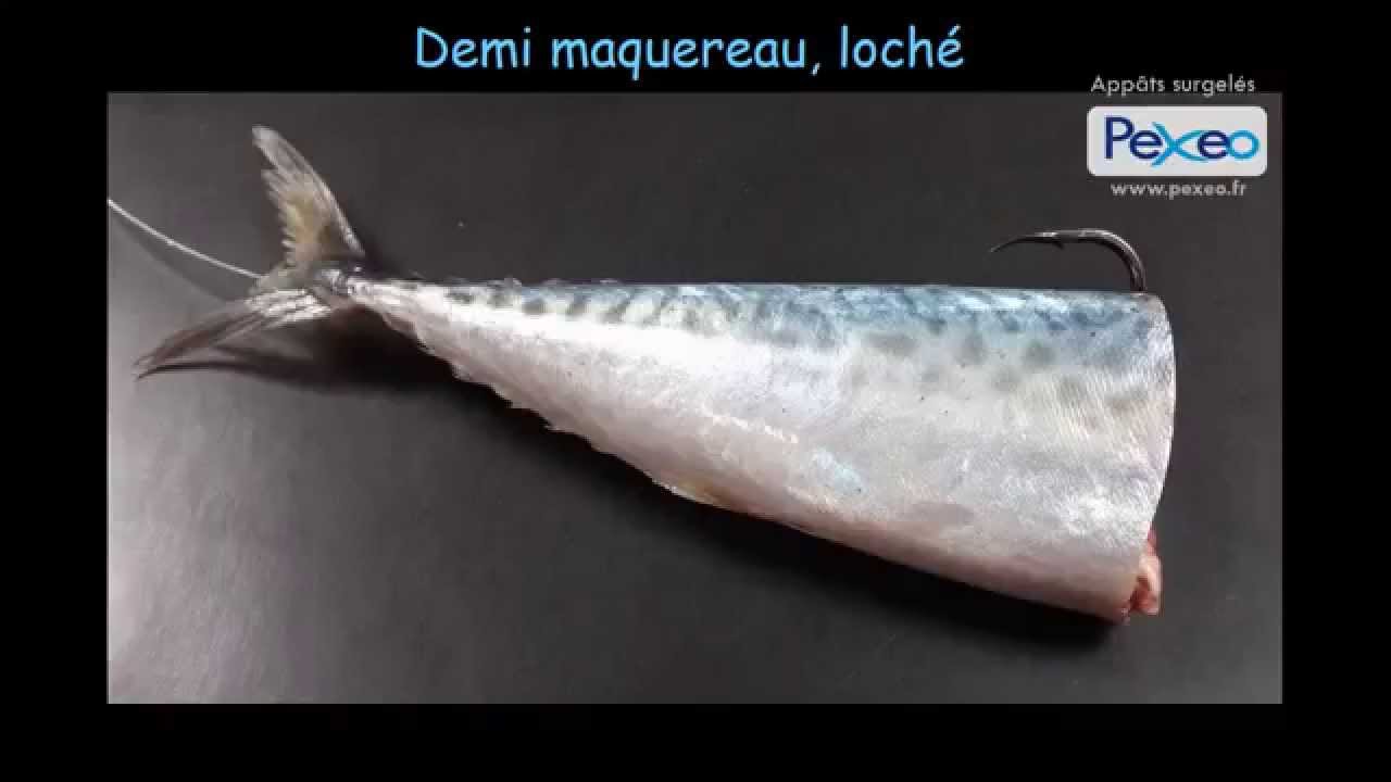Eschage appâts de pêche en mer Pexeo