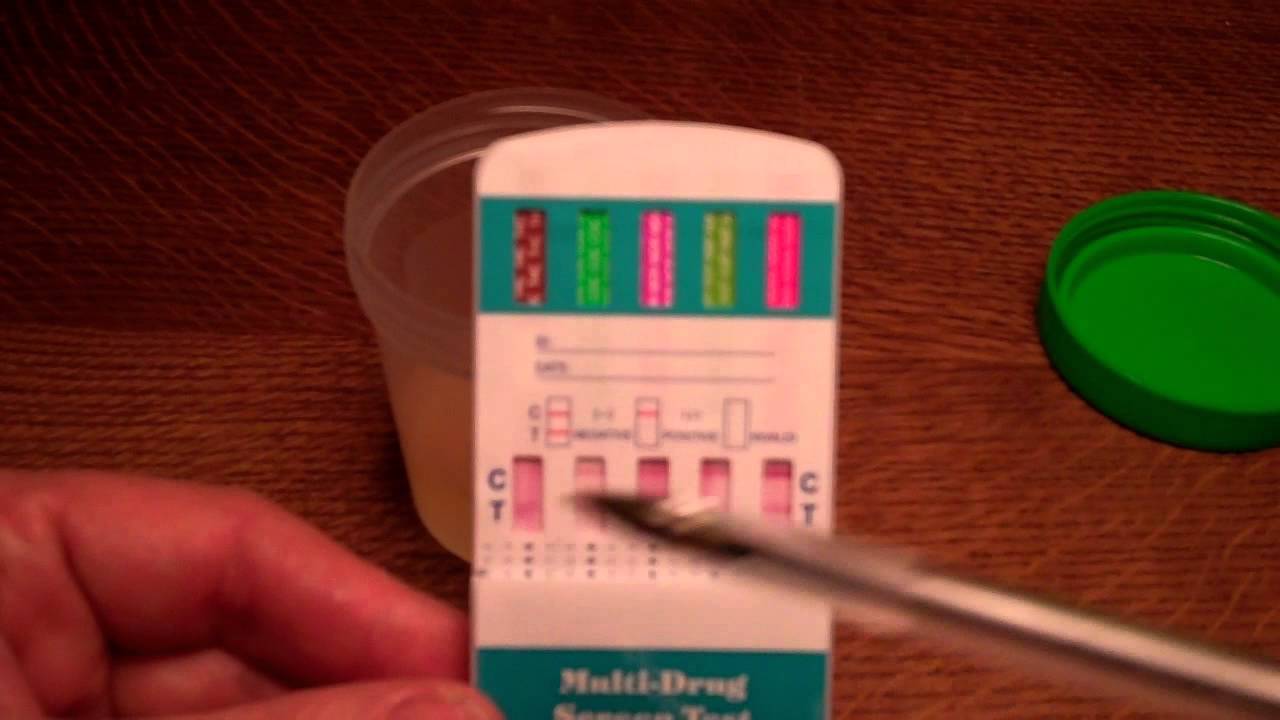 Проведение 5-панельного анализа мочи на наркотики. Руководство по принципу работы и расшифровке р...