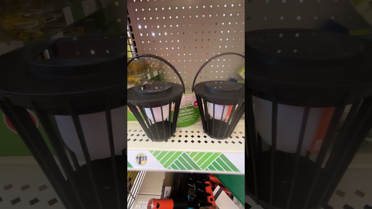 💡 Dollar Tree Solar Lights&mdash;Surprisingly Bright! 🌞✨