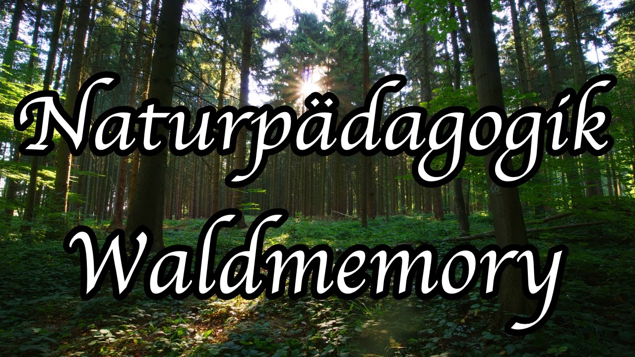 Naturpädagogik und Waldmemory ein Kanal Update