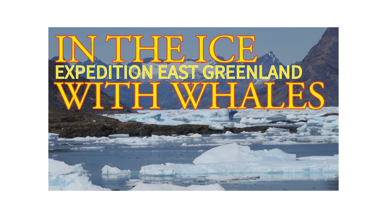 With Whales