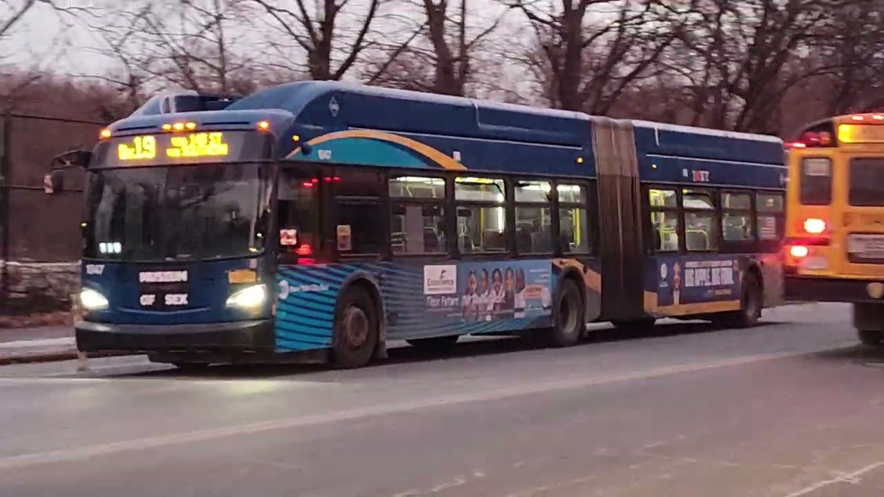 MTA LFSAs LFS XN60 NYC Bus Bx6 SBS Bx9 Bx19 Bronx Zoo Southern Boulevard 